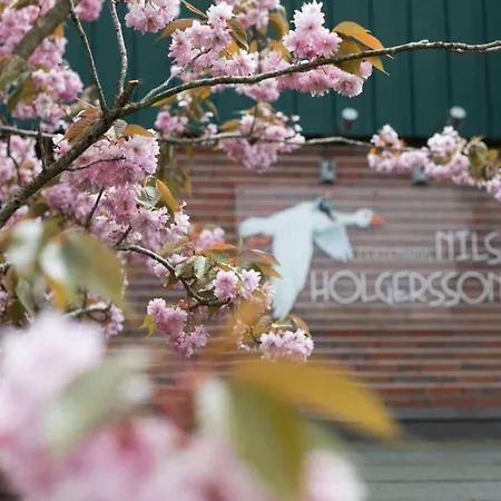 Nils Holgersson - 1 Spiekeroog